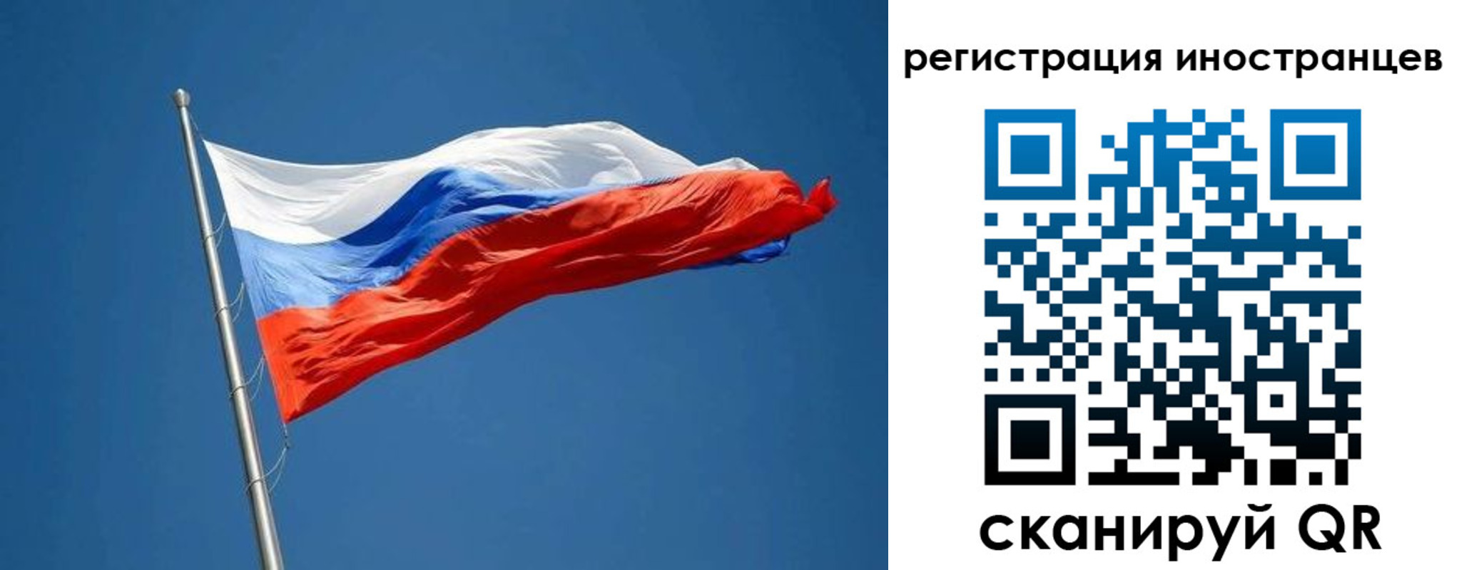 прописка в Ковдоре